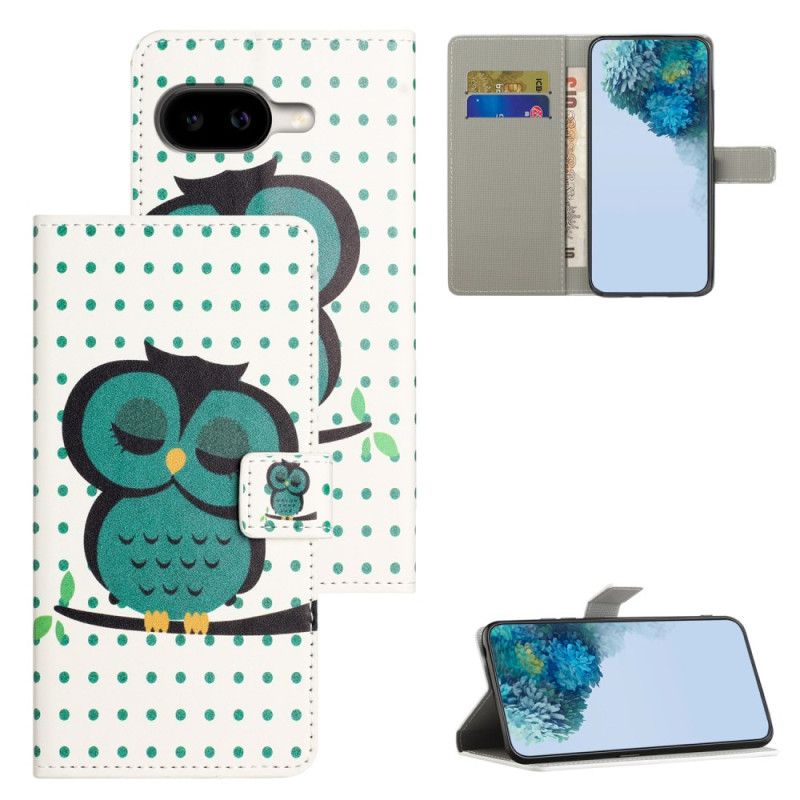 Δερματινη Θηκη Google Pixel 10a Κουκουβάγια Που Κοιμάται Σιλικόνης