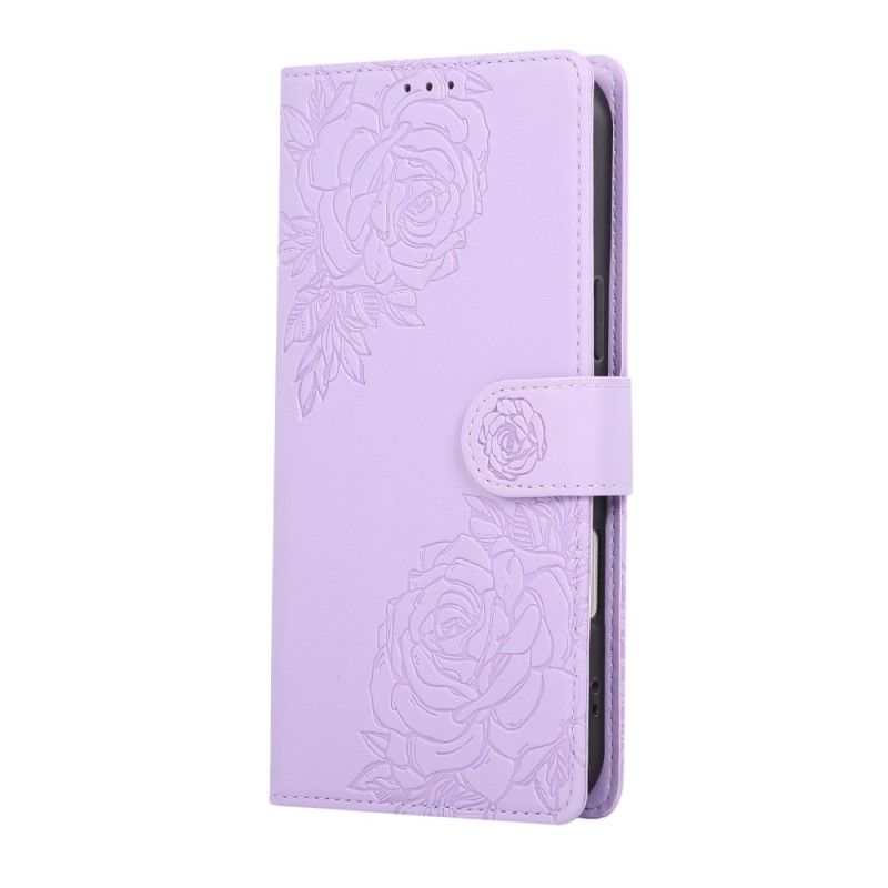 Ανοιχτό Βιολετί
