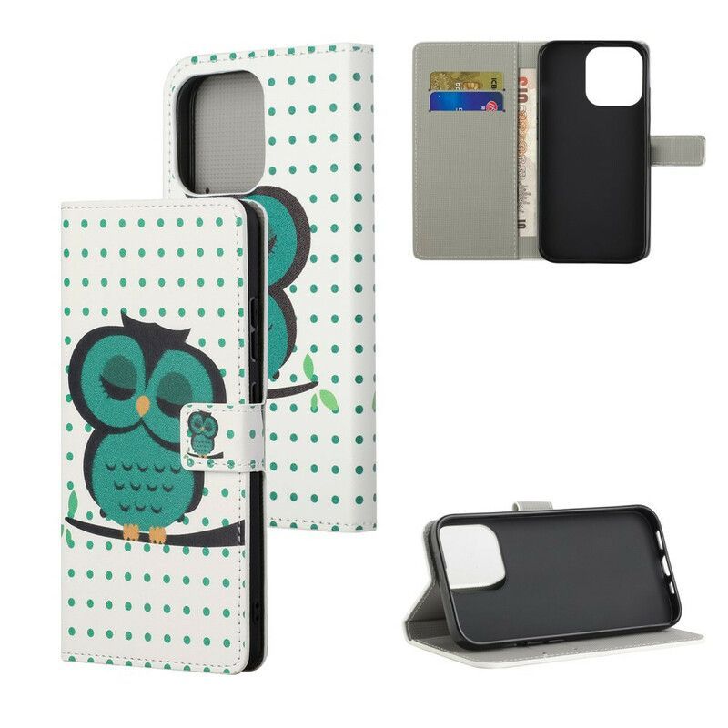 Κάλυμμα Folio iPhone 13 Κοιμισμένη Κουκουβάγια