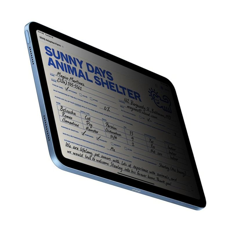 Προστατευτικό Οθόνης Από Σκληρυμένο Γυαλί Κατά Των Κατασκοπειών Για iPad (2025) / 10.9" (2022)