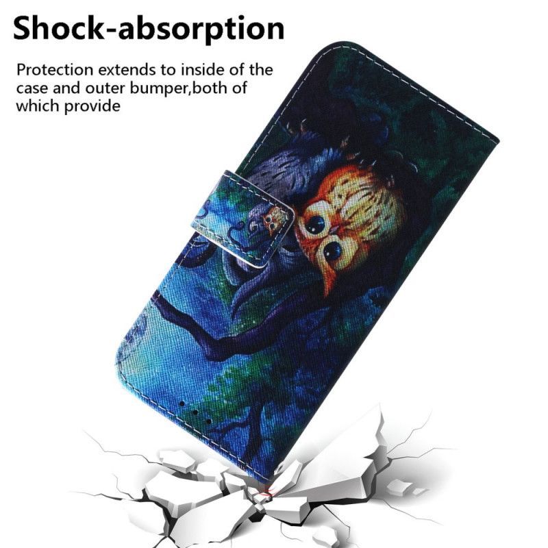 Εξώφυλλο Xiaomi Poco X3 Ζωγραφική Με Κουκουβάγιες